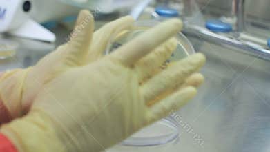 Scientist hand writing on test beakers. Hands in gloves working with test tubes