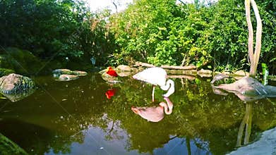 Bird sanctuary in South Africa