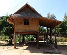 Bamboo hut