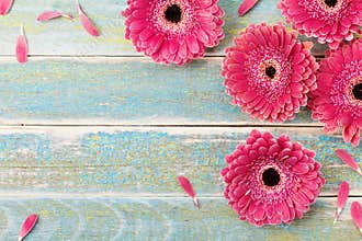 Gerbera daisy flower greeting card background for mother or womans day. Vintage style. Top view.
