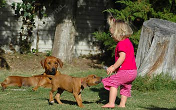 Child and puppy pet