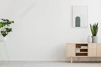 Poster above cupboard with plant in white living room interior with copy space. Real photo. Place for your product