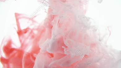 Red and White color paint ink drops in water slow motion video white background with copy space. Inky cloud swirling