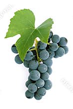 Grapes and leaf