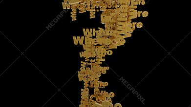 Why,who,what, when, where words zoom out.