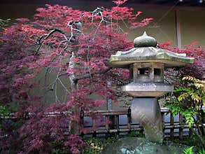 Japanese garden