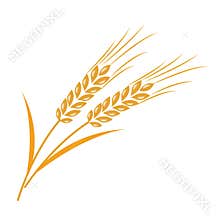 A Nature organic vegetable Barley