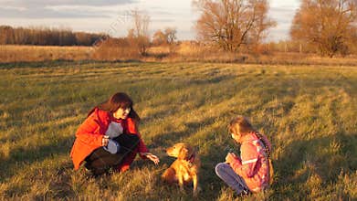 Mother, daughter and dog strolling on field, girl stroking hand dog, happy family walks with family pet