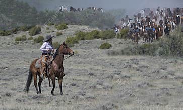 Cowgirl riding a bay horse is ready to help move hundreds of rapidly approaching horses on annual Sombrero Ranch Great American Ho