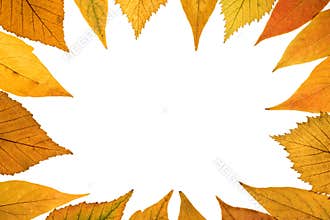 Fall background