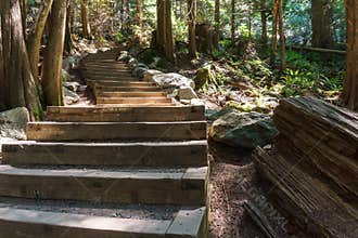 Entrance to the forest in Stawamus Chief Provincial Park British Columbia Canada.