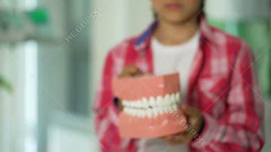 Little girl holding jaw model, dental services for children, caries diagnosis