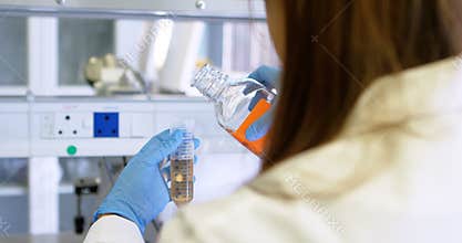 Scientist experimenting in laboratory 4k