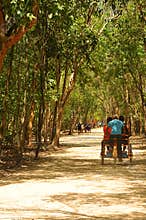 Mexique, taxi to Coba pyramid ascension