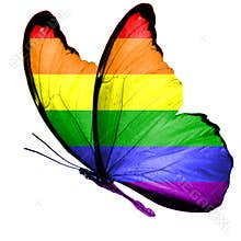 Flag of LGBT on the wings of a butterfly. isolated on white background