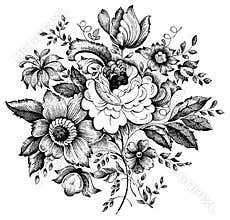 Vintage flower vector illustration