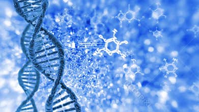Cyclic rotation of the human DNA.