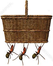 Picnic Food Basket, Ants, Isolated, Funny