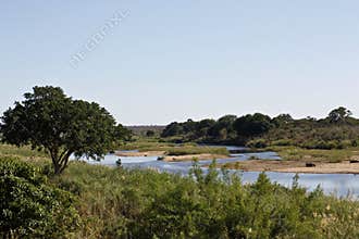 KRUGER NATIONAL PARK LANDSCAPE