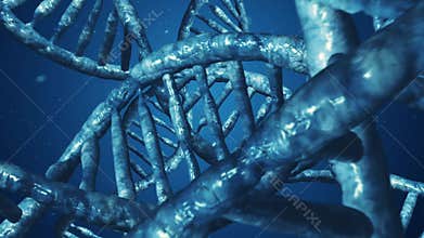 Loop movement through the DNA cells.
