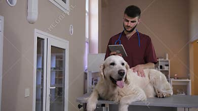 Vet working on digital tablet pc at clinic