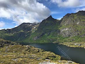 Green Fjords in the end of the Lofoten archipelago in Norway