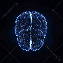 Top view of human brain