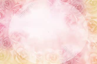 Beautiful pink roses flower border on soft background for valentine