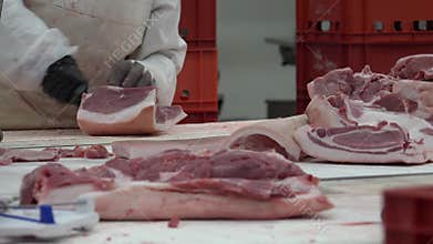 Meat processing plant and food industry