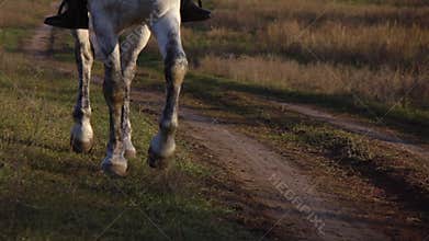 Horse hooves gallop on horseback. Slow motion. Close up
