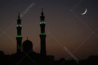 Arabic Night