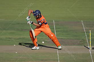 Cricket action