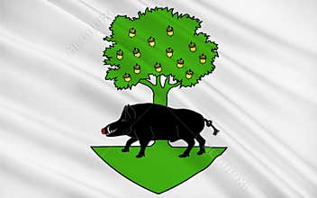 Flag of Sedan, France