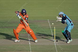 Cricket action