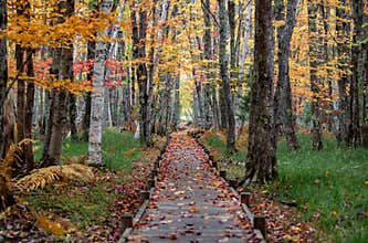 Acadia National Park in Maine