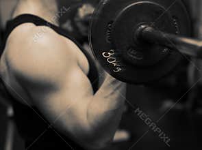 Training barbell gym strength