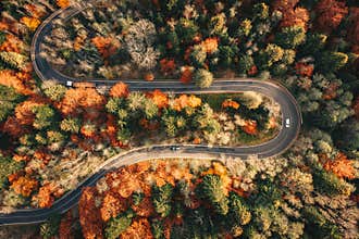 Winding mountain road trough the forest in the autumn with cars