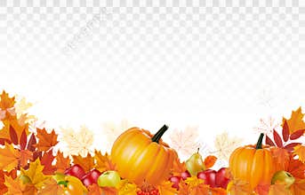 Happy Thanksgiving Background with colorful leaves