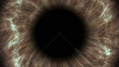 Brown human eye dilating and contracting. Very detailed extreme close-up of iris and pupil.