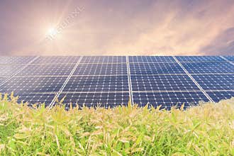 Solar power panels for innovation green energy for life with mountains with sunrise .