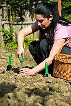 Woman working in garden and using tools