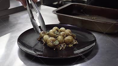 Close up of chef putting snails on plate and preparing gourmet meal in the kitchen