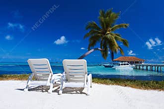 Sunbeds at the beach