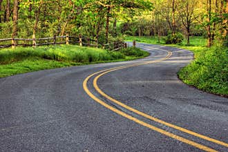 Winding Country Road