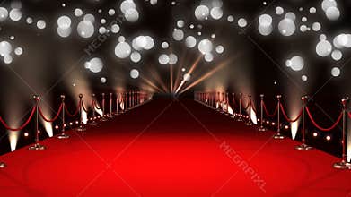 Celebrity red carpet walkway