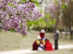 Chinese tourists in the spring outing season