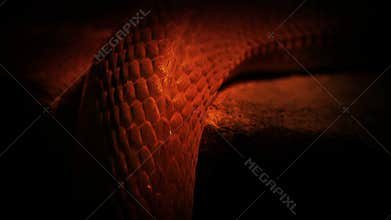 Snake Moving Over Edge In Fire Light