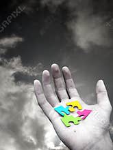 Puzzle in Hand