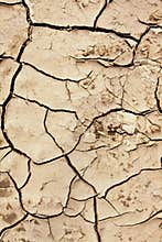 Cracked earth
