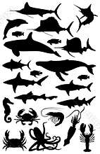 Silhouettes of marine life